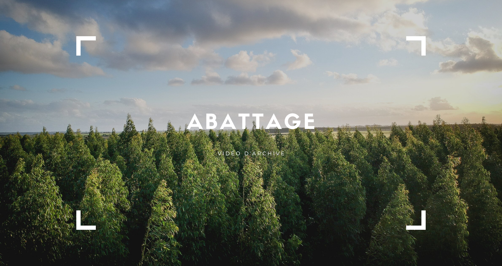 Abattage au lac de sylans dans l&rsquo;Ain