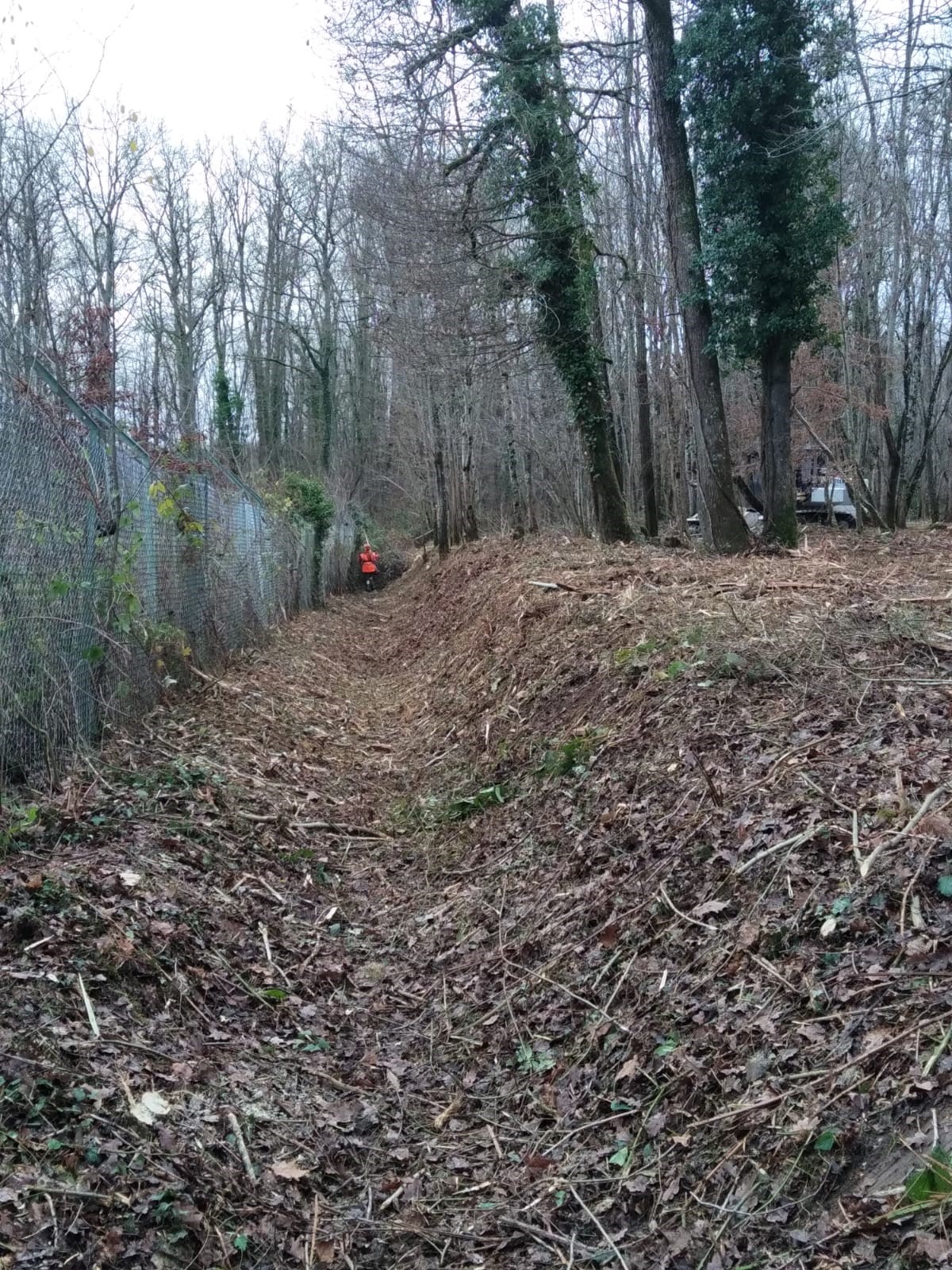 Débroussaillage, broyage Méré